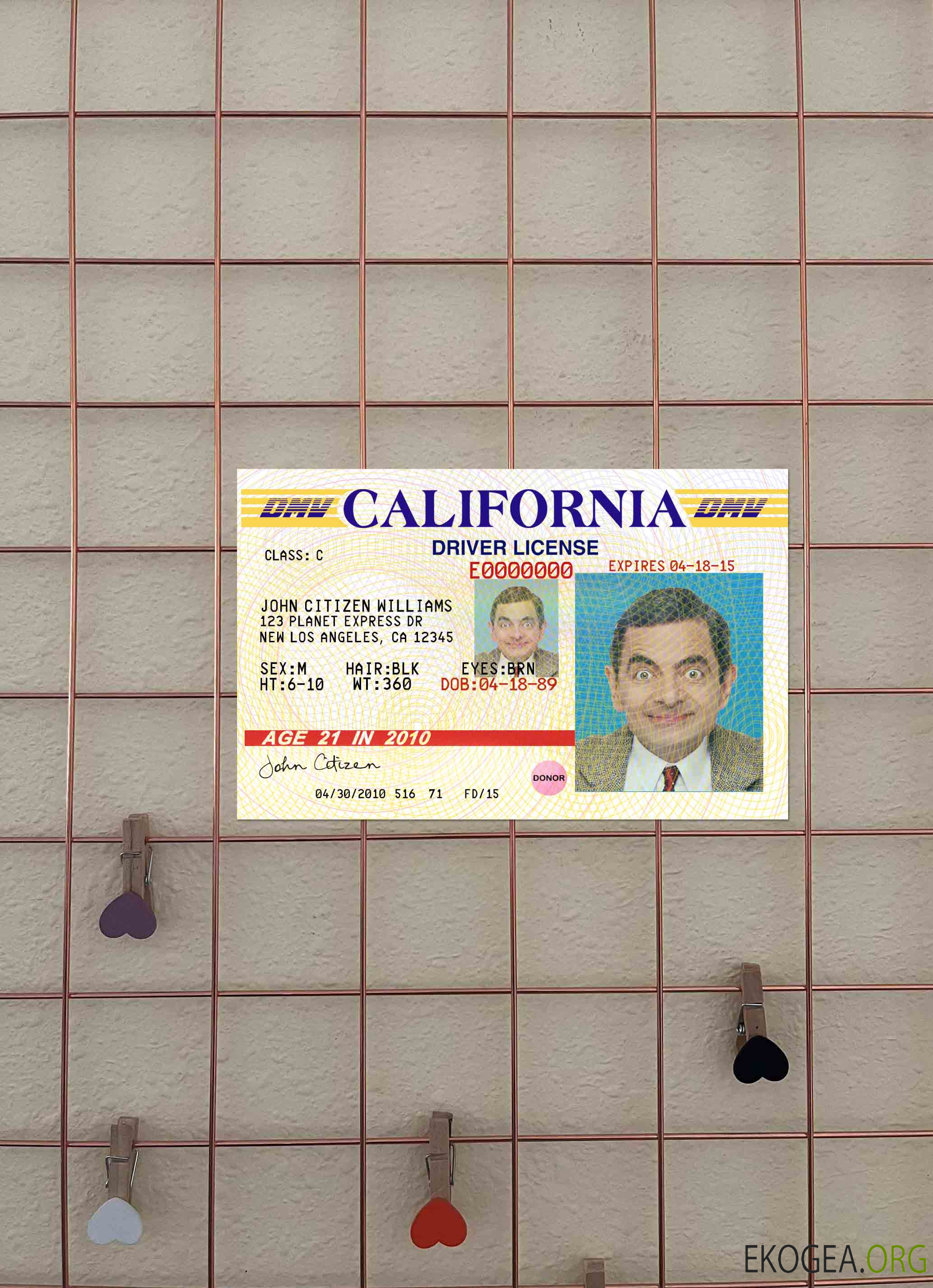 Permis de conduire USA Californie version 3 photolook AVANT